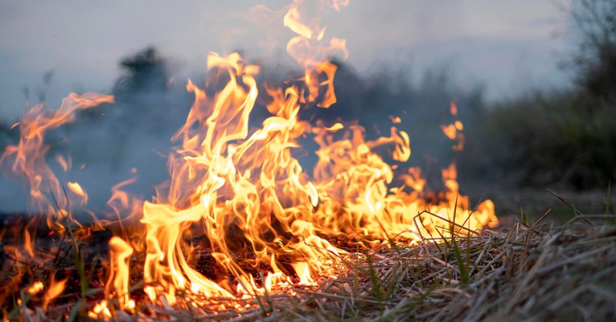 [LIV 24] SEO JAN C02 2 1200x628