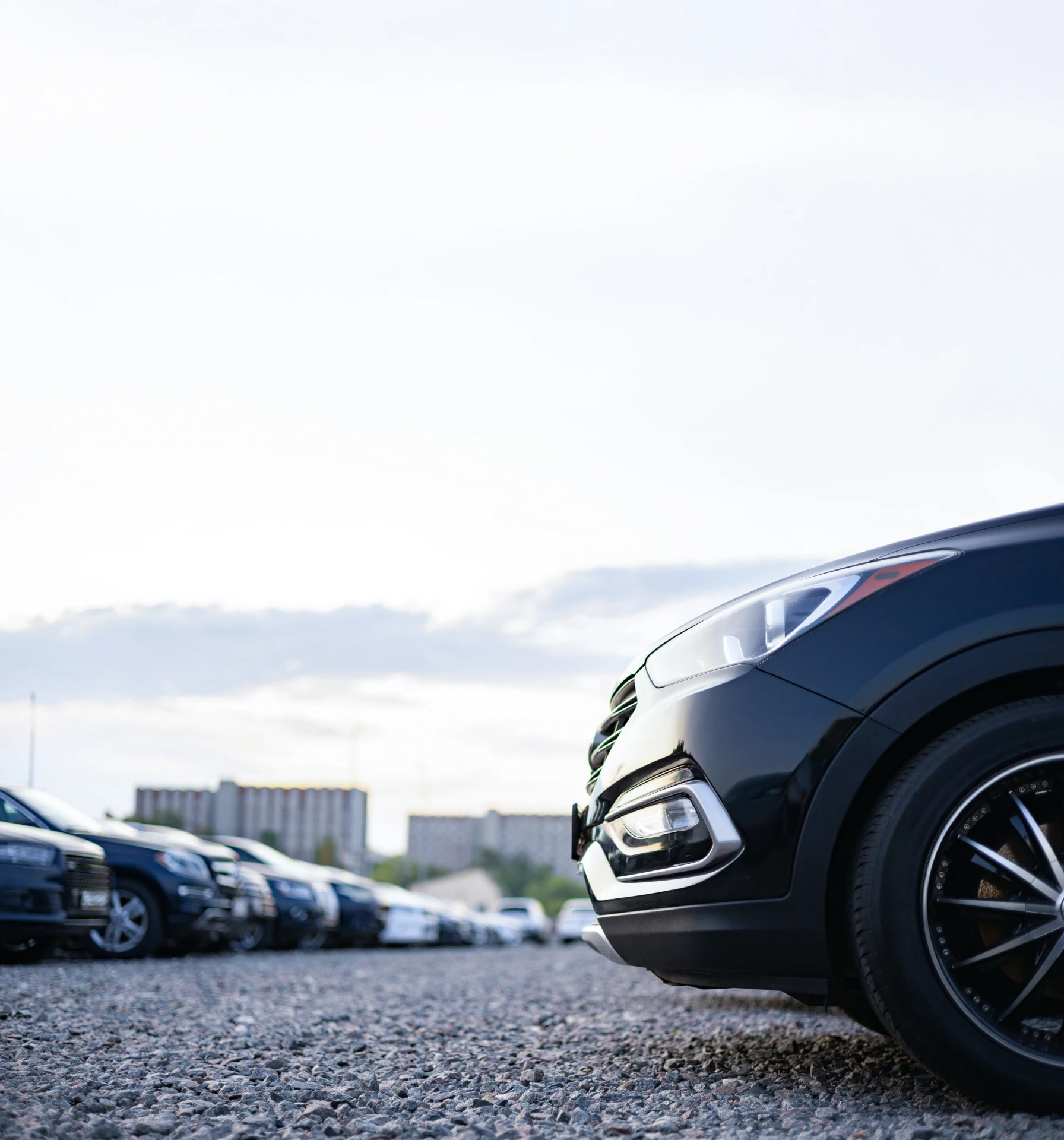 shutterstock 2656107771